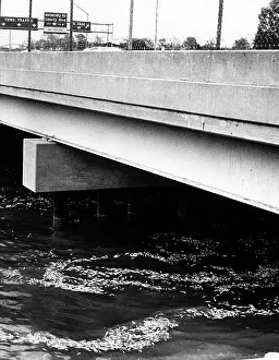Bridge Prints: Lake Erie, polluted with dead shad