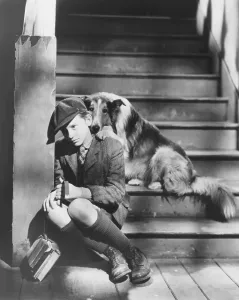 Mcdowall Prints: LASSIE COME HOME, from left: Roddy McDowall, Lassie, 1943