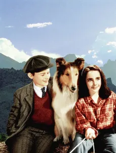 Mcdowall Prints: LASSIE COME HOME, Roddy McDowall, Lassie, Elizabeth Taylor, 1943