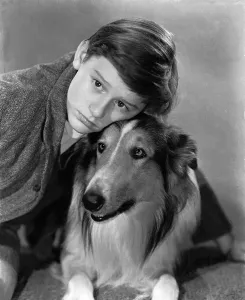 Mcdowall Prints: LASSIE COME HOME, Roddy McDowall, Lassie, 1943