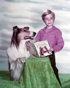 Book Prints: LASSIE, Jon Provost, with Lassie, 1954-1974