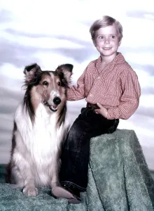 Lassie Prints: LASSIE, Jon Provost, with Lassie, (1959), 1954-74
