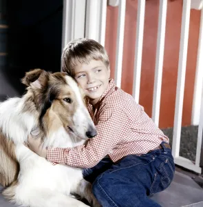 Dungarees Prints: LASSIE, Jon Provost, with Lassie, (1959), 1954-74