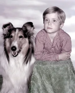 Lassie Prints: LASSIE, Jon Provost, with Lassie, (1959), 1954-74