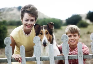 Lockhart Prints: LASSIE, from left: June Lockhart, Lassie, Jon Provost, (1963), 1954-1974
