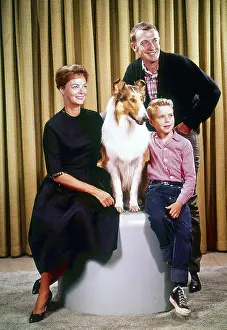Hugh Prints: LASSIE, from left: June Lockhart, Lassie, Hugh Reilly, Jon Provost, 1954-1974