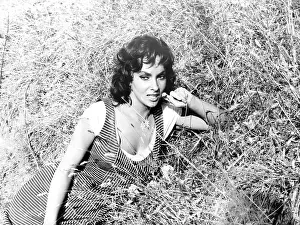 Films By Jules Dassin Prints: THE LAW, (aka LA LEGGE, aka WHERE THE HOT WIND BLOWS), Gina Lollobrigida, 1959