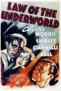 Images Dated 28th November 2012: LAW OF THE UNDERWORLD, US poster art