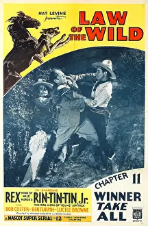 Custer Prints: LAW OF THE WILD, top left: Rex