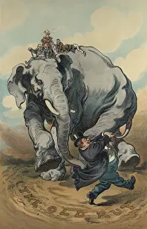 Sherman Prints: THE LEADER, a political cartoon of President Taft leading the Republican elephant in circles
