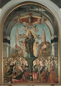 Mid Air Prints: Legend of St Ursula Apotheosis of St Ursula