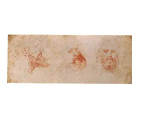 Three Quarter Prints: Leonardo da Vinci, Profile, three-quarter and frontal study of a male head