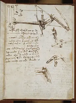 Model Prints: (Leonardo da Vincis) Codex on the Flight of Birds