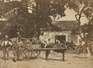 Liberation Prints: Liberated African American slaves with a horse-drawn cart at the plantation of James Hopkinson