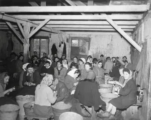 Concentration Camps Prints: Liberated women political prisoners at Bergen-Belsen concentration camp