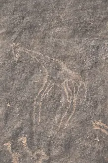 Libyans Prints: LIBYA. Tadrart Acacus. Carving on the rock depicting a giraffe (12)