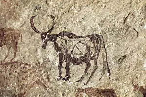 Cave Prints: LIBYA. Tadrart Acacus. Cervid figure