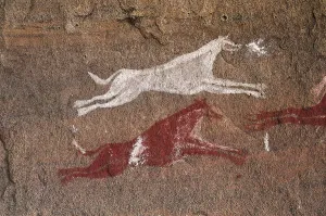 To Hunt Prints: LIBYA. Tadrart Acacus. Representation of dogs (1500 BC)