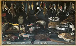 Robin Prints: Still Life with Birds, by Master of Hartford