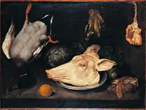 Still Life with Duck, Piglet, Giblets, Cauliflower and a Fruit, by Giacomo Ceruti know as Pitocchetto, 1700 - 1750 about, 18th Century, oil on canvas, cm 66 x 87 - Italy