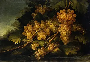 Fruit Prints: Still Life, by Francesco Malagoli