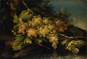 Fruit Prints: Still Life, by Francesco Malagoli