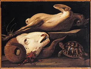 Horned Prints: Still Life with Ram Head, Turtle and Plucked Chicken