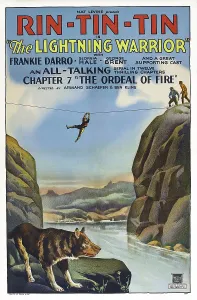 Serial Prints: THE LIGHTNING WARRIOR, US poster, Rin Tin tin (front), 1931