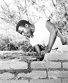 Brick Wall Prints: LILIES OF THE FIELD, Sidney Poitier, 1963
