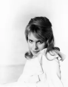 Seberg Prints: LILITH, Jean Seberg, 1964