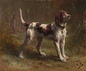 Close View Prints: A LIMIER BRIQUET HOUND, by Rosa Bonheur