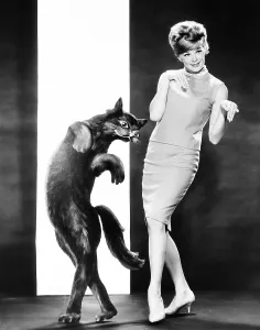 Images Dated 31st August 2015: Linda Evans in MGM studio publicity pose, ca. 1963
