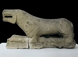6th C Prints: The Lion of Baena or The Lioness of Baena