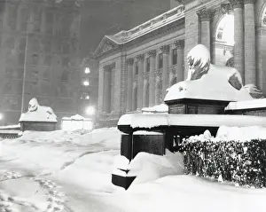 Lcgr1409 Prints: The lion statues at the New York Public Library covered with snow during the record snowfall