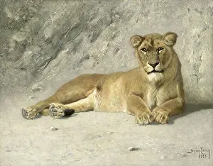 Wild Prints: Lioness Resting, by Jan van Essen, 1885, Dutch painting, oil on panel. (BSLOC_2016_1_312)