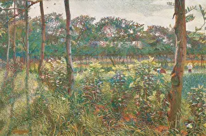 Peacefulness Prints: Lombard Countryside (Campagna lombarda)