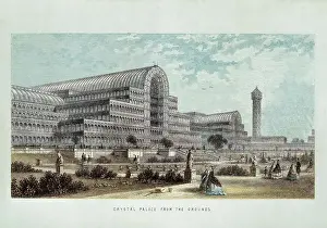 Tower Prints: London. Crystal Palace, built for the Universal Exhibition of 1851