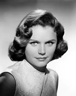 Movpor15 Prints: THE LONG, HOT SUMMER, Lee Remick, 1958