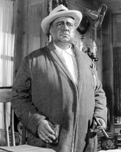 Bathrobe Prints: THE LONG, HOT SUMMER, Orson Welles