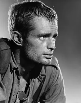 Mccallum Prints: THE LONG AND THE SHORT AND THE TALL, (aka JUNGLE FIGHTERS), David McCallum, 1961