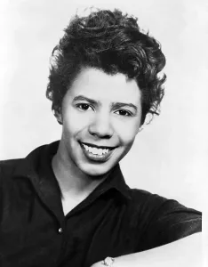 2008 Prints: Lorraine Hansberry (1930-1965) African American playwright wrote A Raisin in the Sun