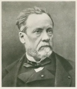 Chemists Prints: Louis Pasteur (1822-1895), French chemist and microbiologist. Ca. 1870