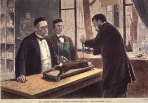Chemists Prints: Louis Pasteur (1822-1895), French chemist and microbiologist