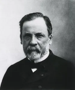 Chemists Prints: Louis Pasteur (1822-1895), French chemist and microbiologist who was the most important founder of medical microbiology