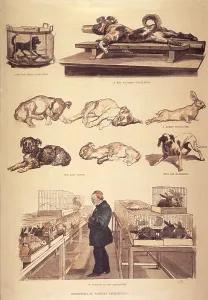 Chemists Prints: Louis Pasteur (1822-1895) in laboratory