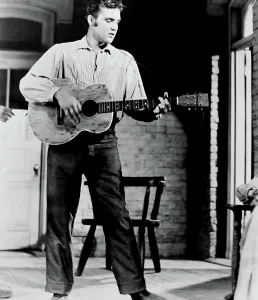 Zast Prints: LOVE ME TENDER, Elvis Presley, 1956