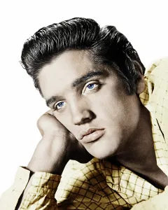 Images Dated 9th March 2012: LOVE ME TENDER, Elvis Presley, 1956