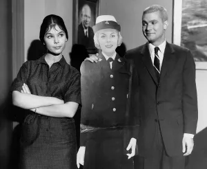 Hickman Prints: THE MANY LOVES OF DOBIE GILLIS