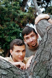 Hickman Prints: THE MANY LOVES OF DOBIE GILLIS, from left: Dwayne Hickman, Bob Denver, (1961), 1959-63