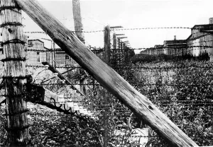 Concentration Camp Prints: Lublin Concentration Camp in Poland. 9/13/44.. Courtesy: CSU Archives / Everett Collection